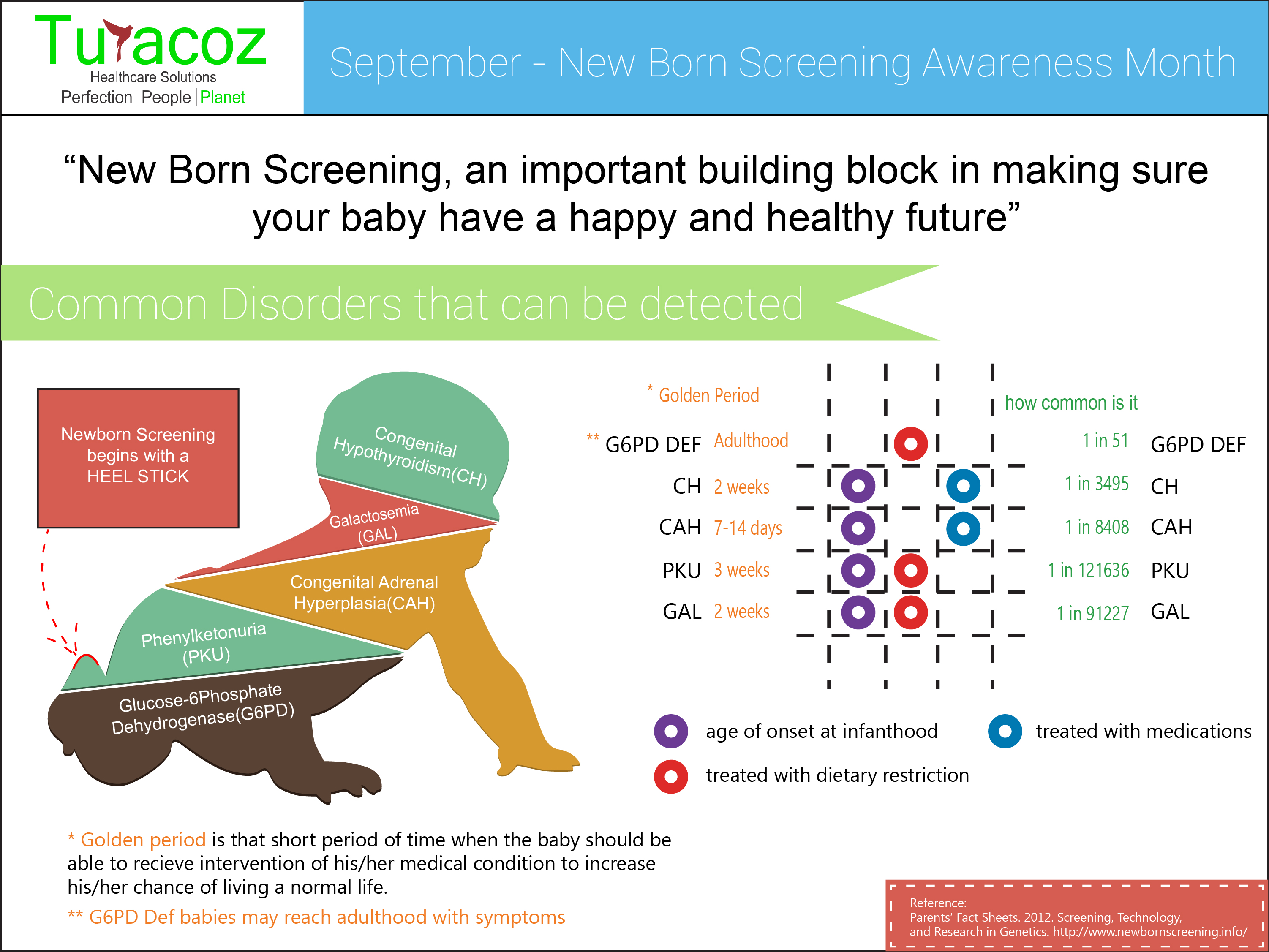 the genetic screening controversy essay the genetic screening controversy essay